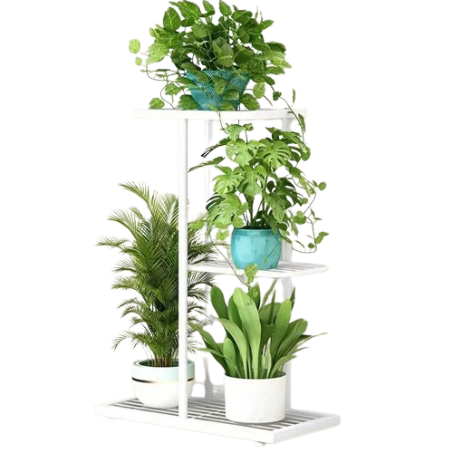 Sculptures of Greenery — Plant Display