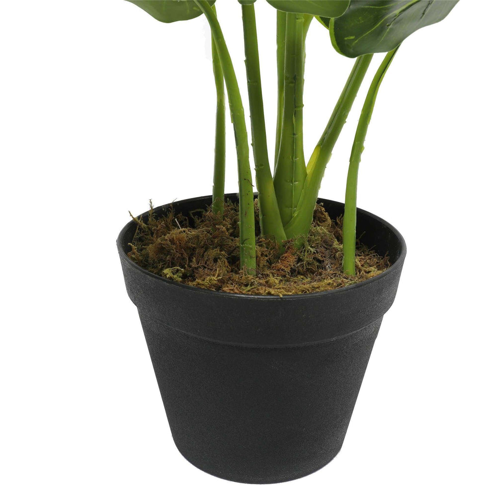 Taro Verde — 55cm Artificial Plant