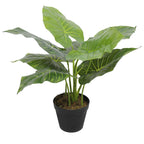Taro Verde — 55cm Artificial Plant